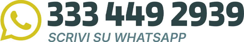 grafica numero whatsapp